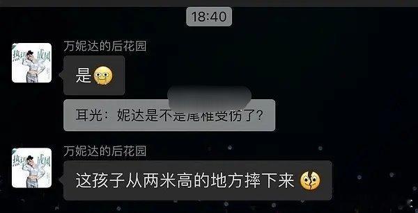万妮达浪姐两米多的地方摔下来，尾椎骨裂…听到这个消息我很难过。希望万妮达能尽快恢