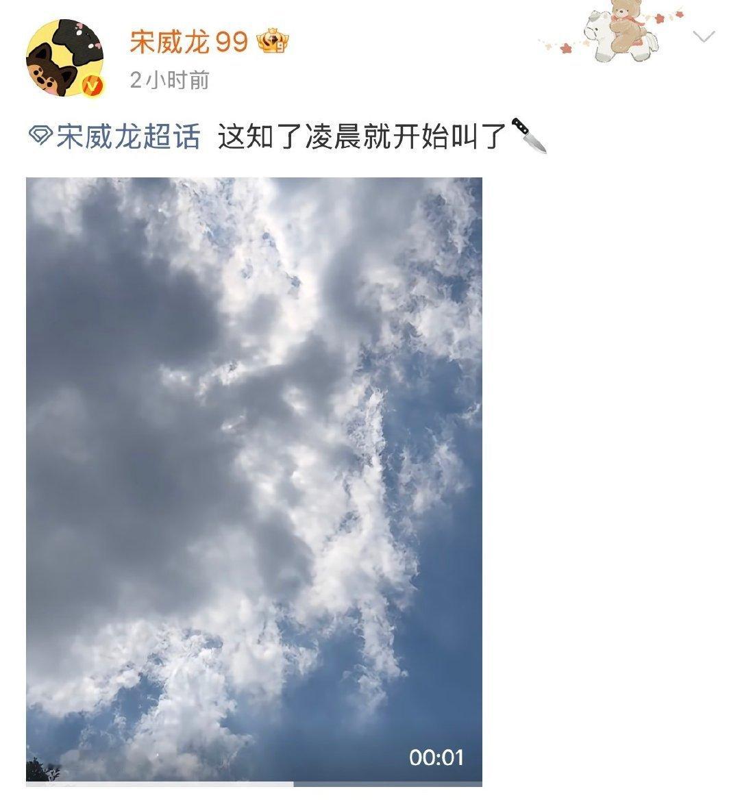 宋威龙知了大战怎么还是连续剧哈哈哈，不过我们哥哥太仁义了抓起来教育了一下就放掉了