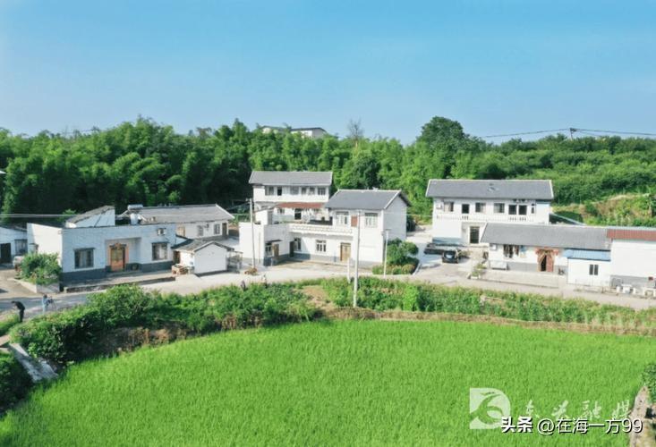 说“农闹”不能代表农民主流，我绝对赞同。但说农民里没有“农闹”，这话就说绝对了。