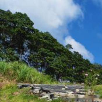 每日一善 过放荡不羁的生活，容易得像顺水推舟，但是要结识良朋益友，却难如登天。 