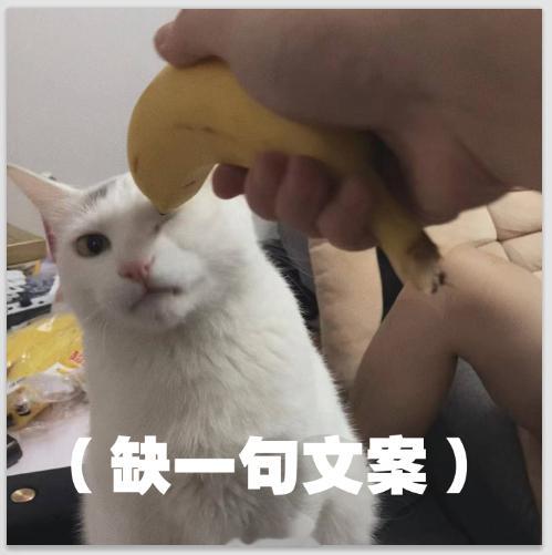 再帮忙想一句表情包文案 
