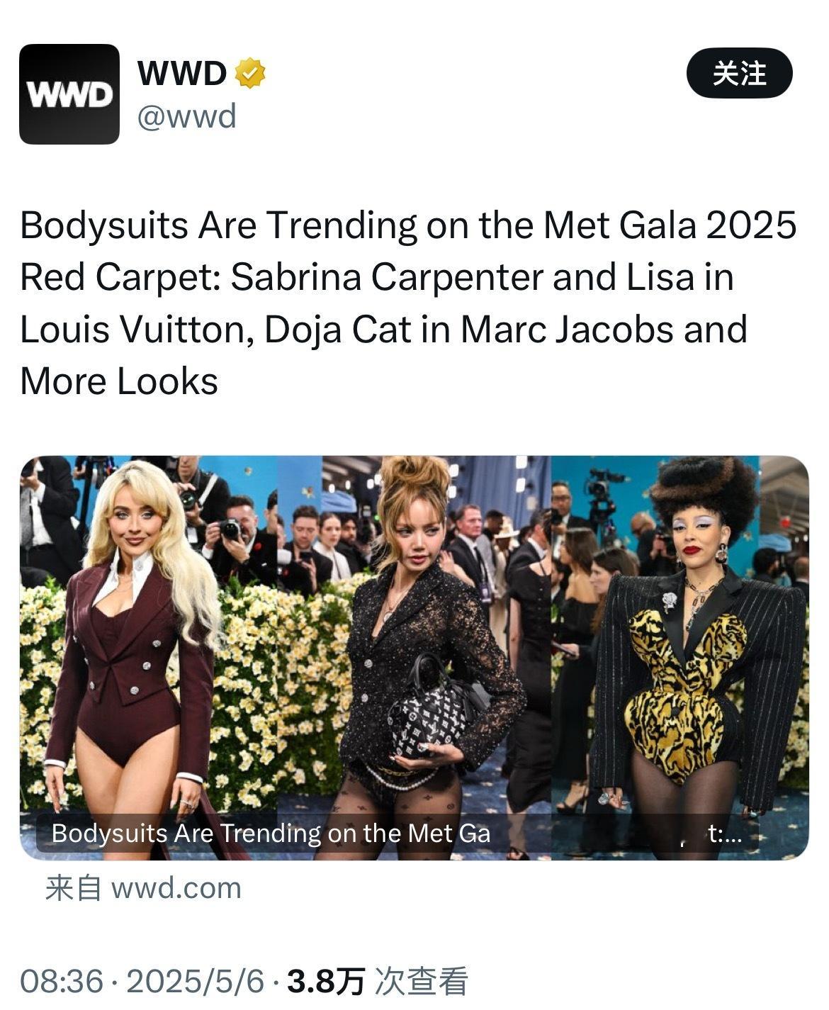 逮着Lisa一个人骂，还以为MetGala就Lisa一个人穿卡比装呢[笑cry]