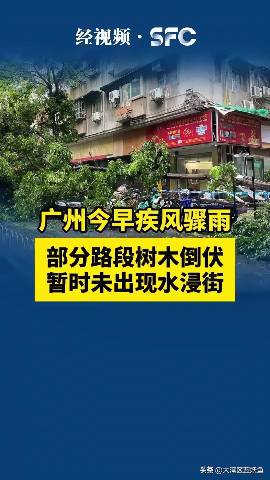 今早广州的雨，来得又急又猛。
 
天刚亮没多久，风就裹着雨点子往窗户上砸，越秀区