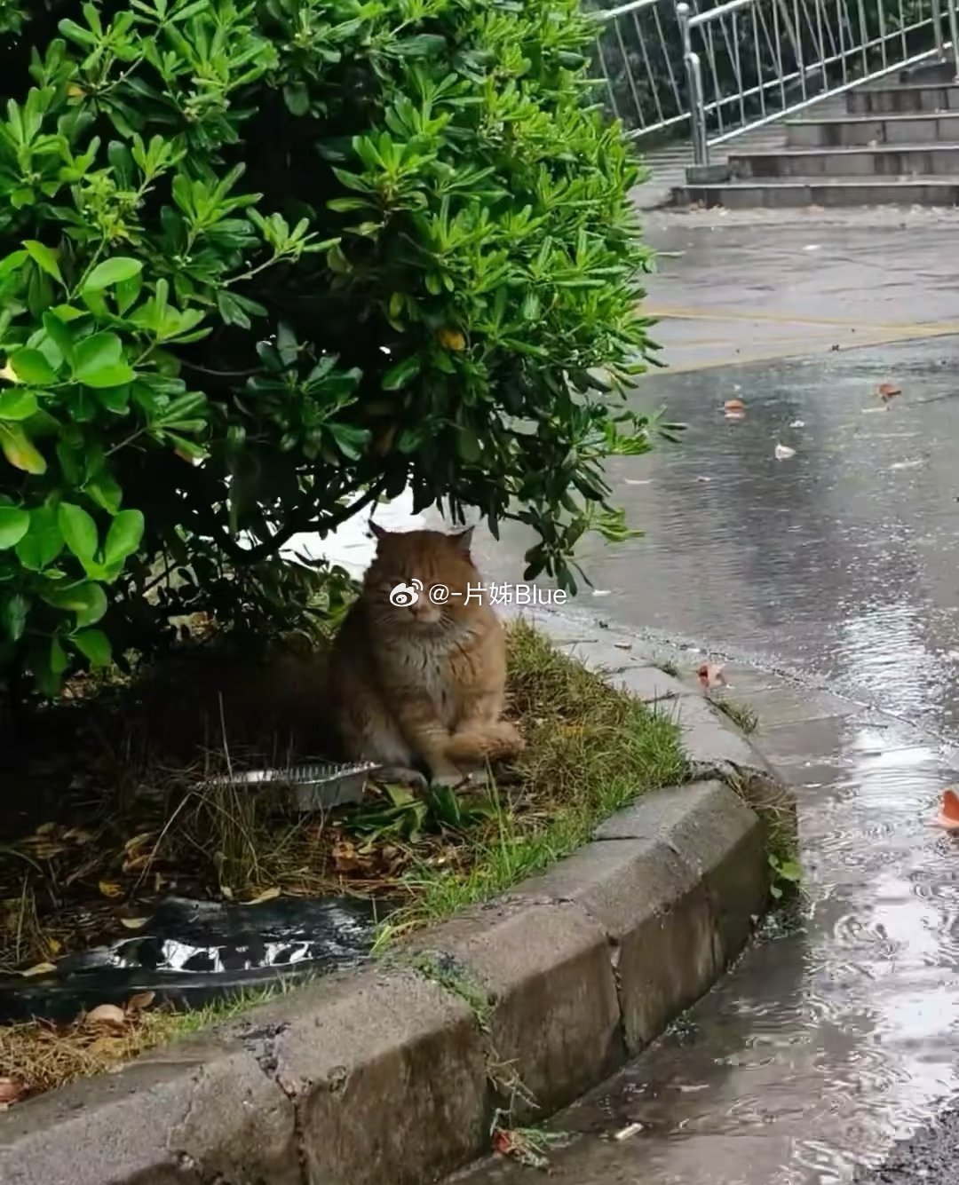 高考进度条已经第二天依然是下雨的一天给我最直接的感受选择物理和历史完全是两种人生