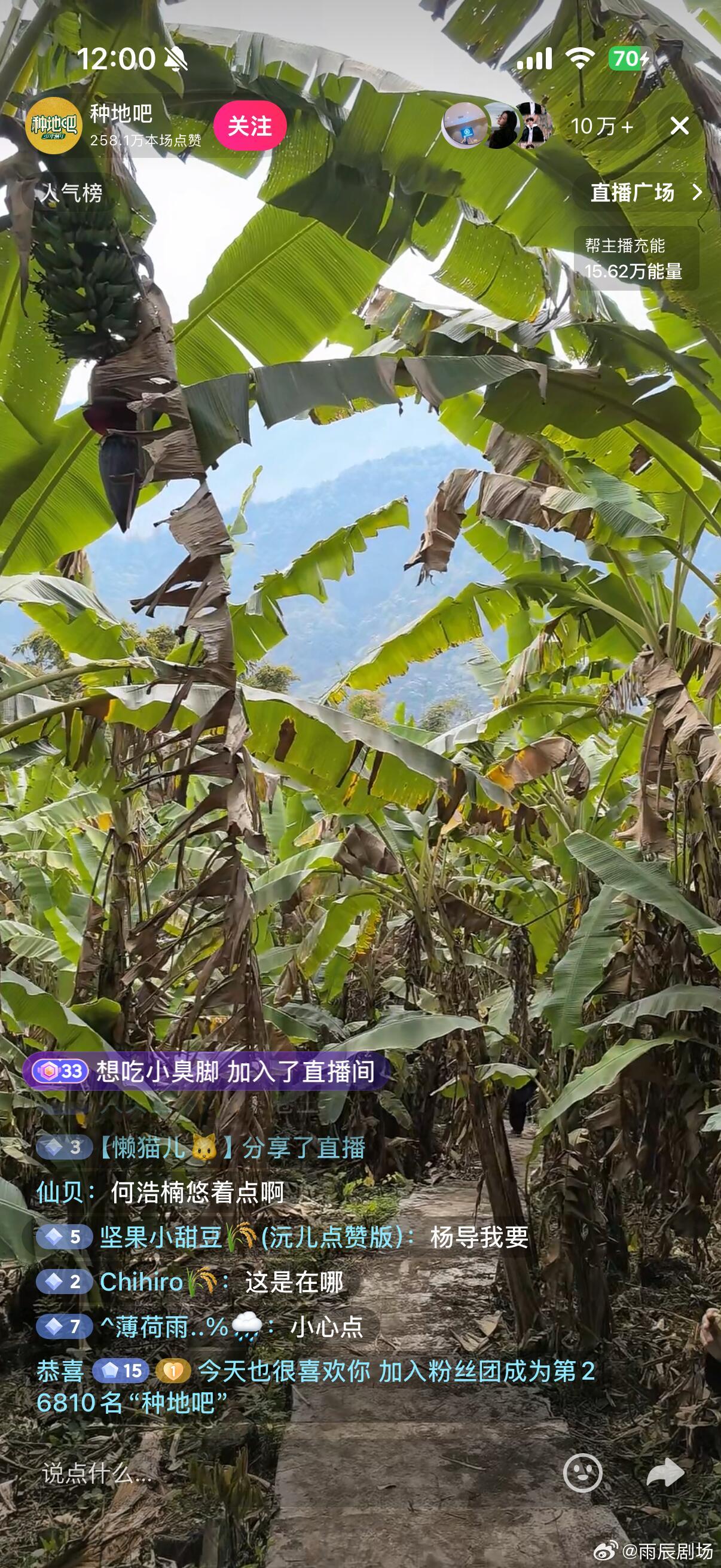 吵吵闹闹的他们，疯狂截图的我西藏的香蕉也是跟着他们长见识了十个勤天  |  种地