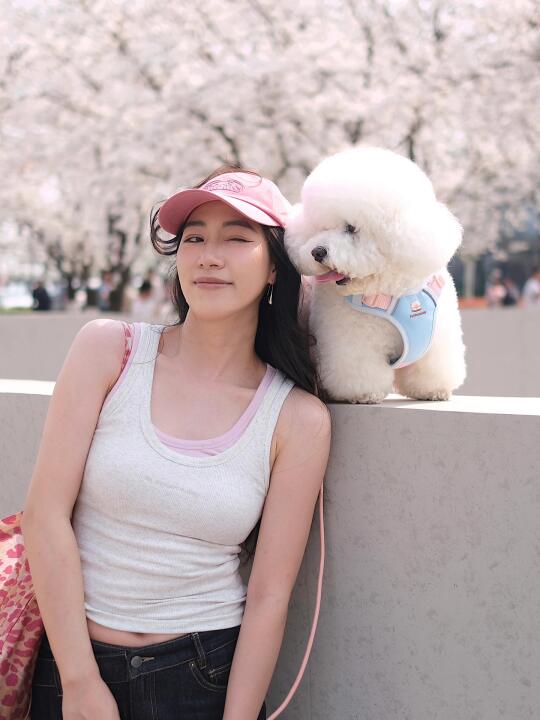一起去赏花吧～ 🌸🦮修狗狗也拥有了狗生美照
