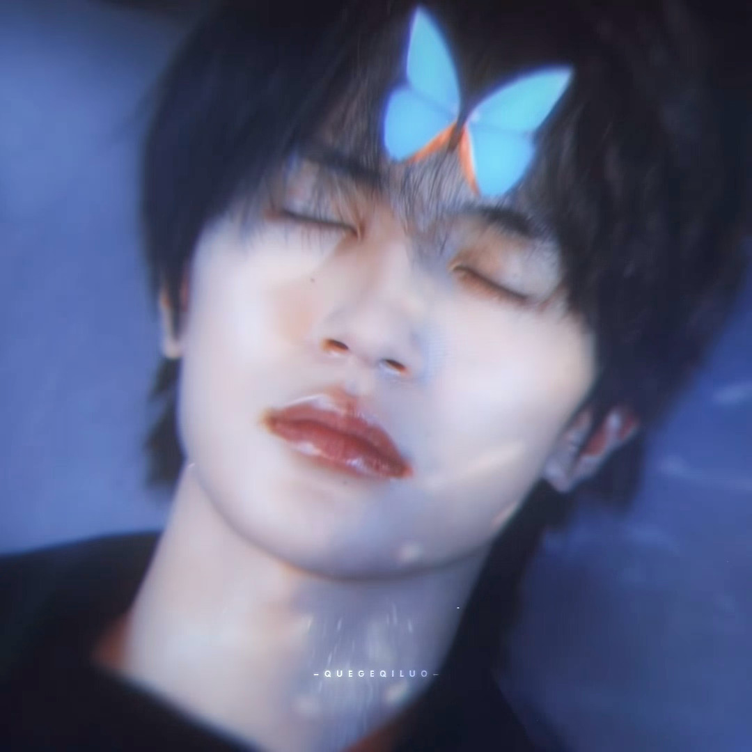 * 谢敛×郁天冬 🦋「 那只蝴蝶 带领我 走出迷雾 」 