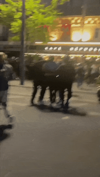 巴黎警方逮捕一名巴勒斯坦的支持者，这名支持者向警察抱怨：“我只是说了句‘自由巴勒