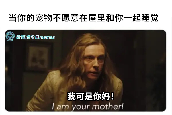 翅膀硬了（9gag）今日meme[超话] 今日memes ​​​