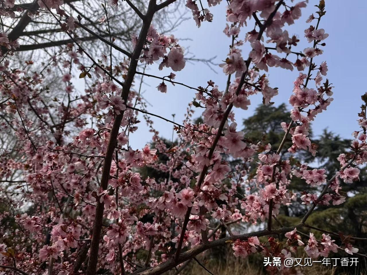 网贷还过卷的自己关注一下

我看有些人网贷利率太高退款了，应该是国家督促的吧，那