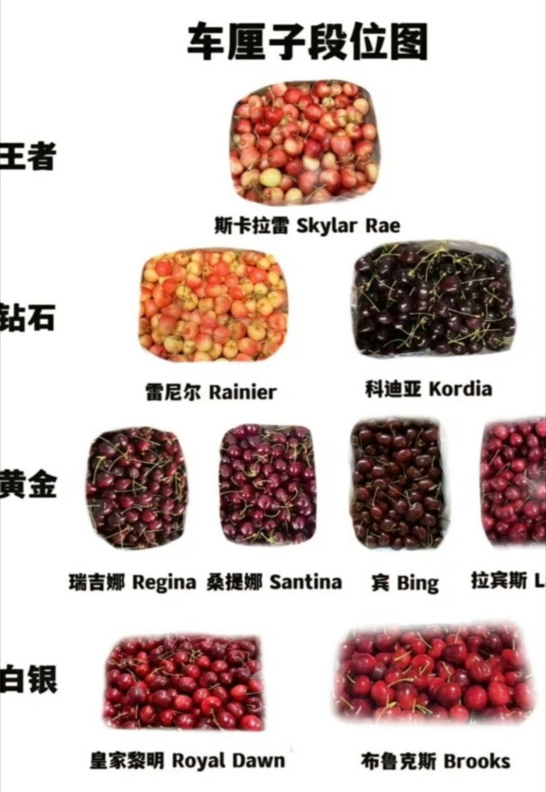 车厘子价格暴跌近40%车厘子价格是真的崩了，今年大概比去年低了30%左右原因嘛，