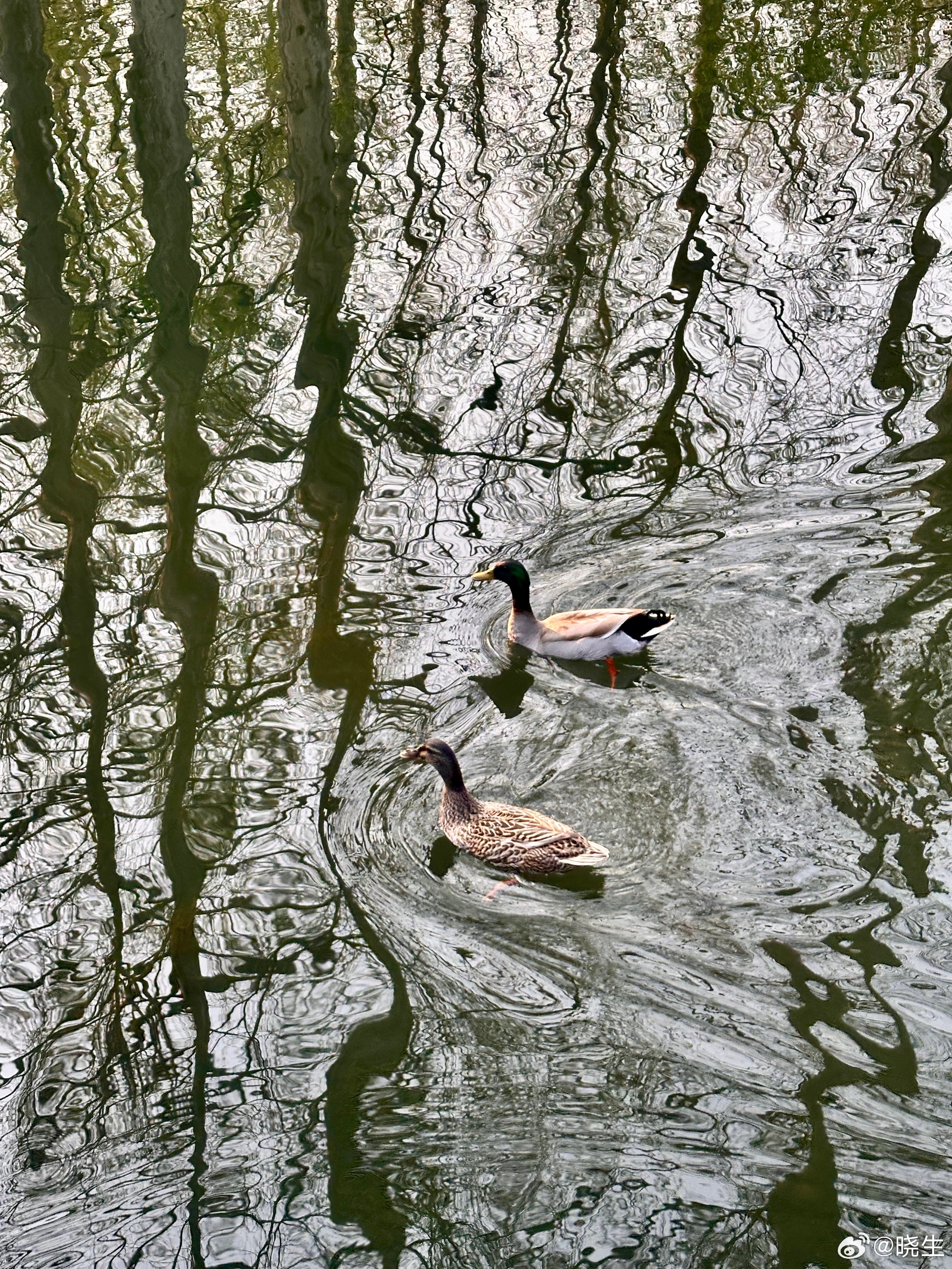 昨儿有个来访这么跟我哭的，上来就说是，“我对他这么好，他怎么还是走了？”结果一聊