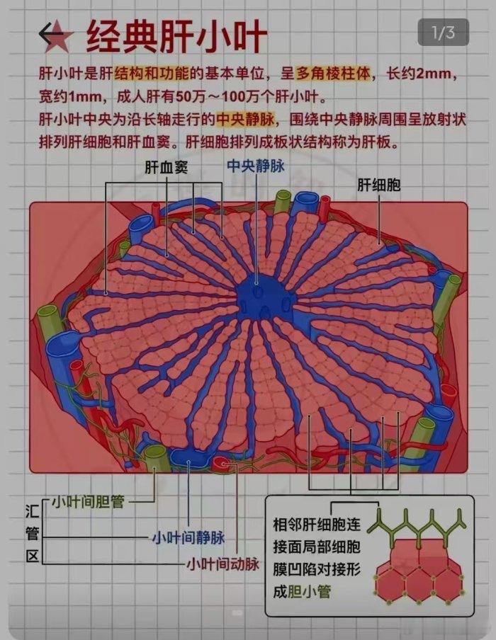 沉默的背叛·默斋主人原创医学人文散文 门诊室的冷白光，寡淡得没有一丝温度。四十岁
