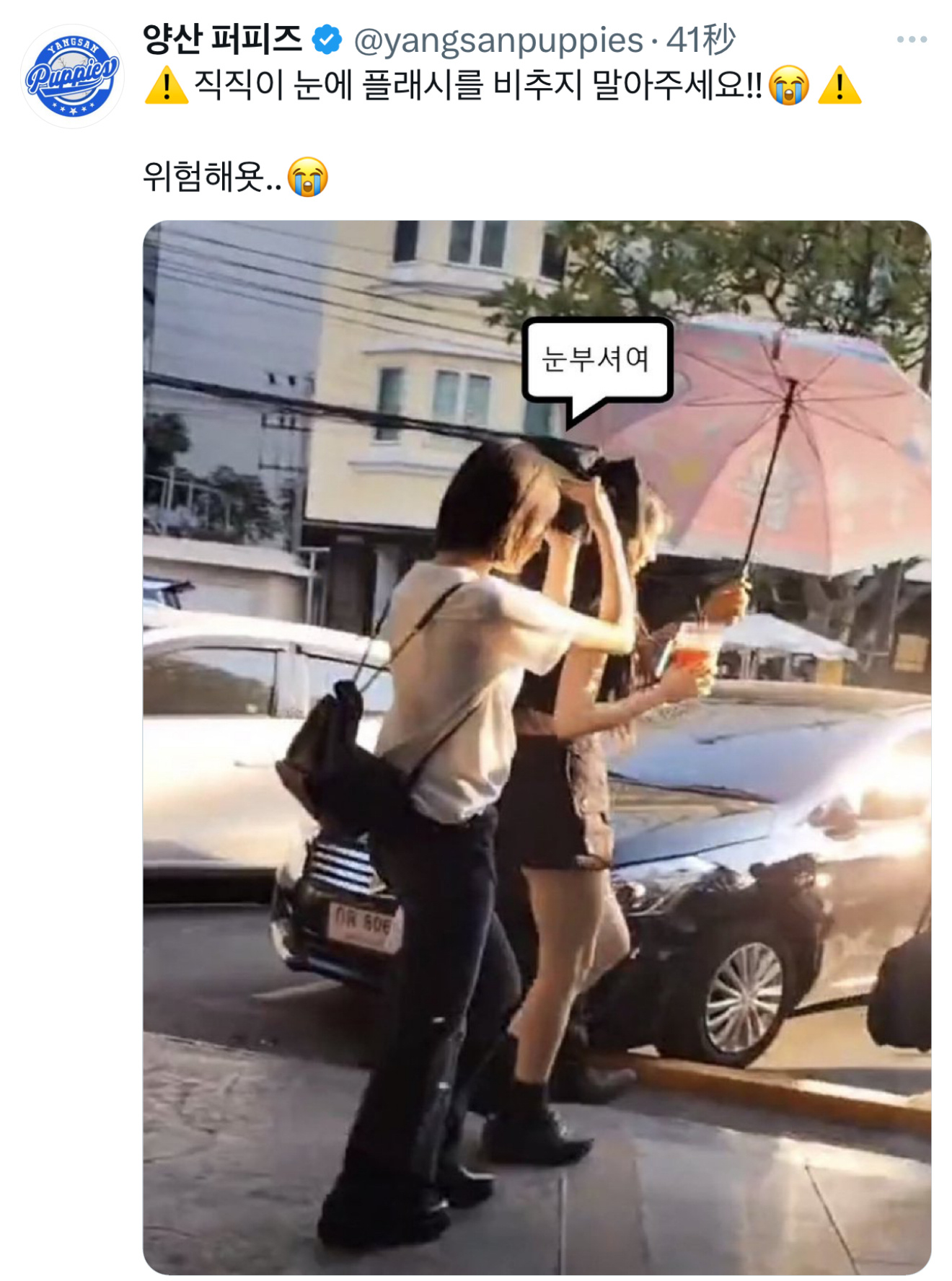 这个世界请对狗大王好一点！！！⚠️请不要用手电筒照직직이的眼睛！！😭⚠️很危险