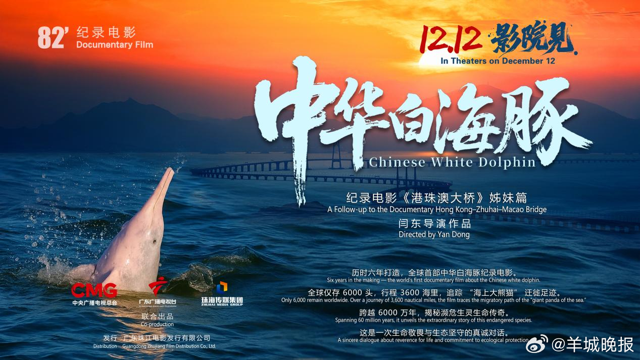 【#纪录电影中华白海豚今日上映#解锁粤港澳大湾区生态人文密码】由中央广播电视总台