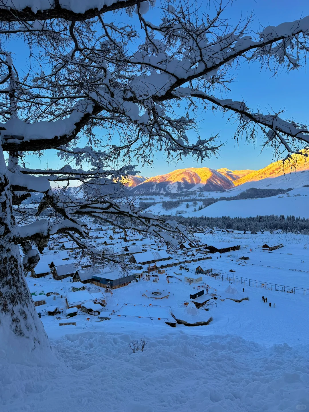 我会反复爱上阿勒泰的blue hour🏔️