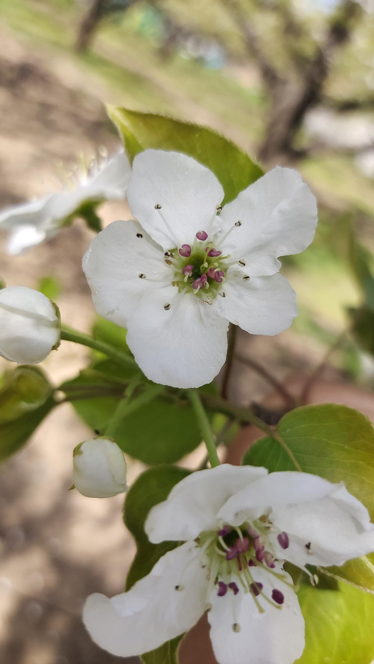 真的好喜欢春天，到处都是鸟语花香的，即使什么都不干在花草树木旁边待着都让人觉得心