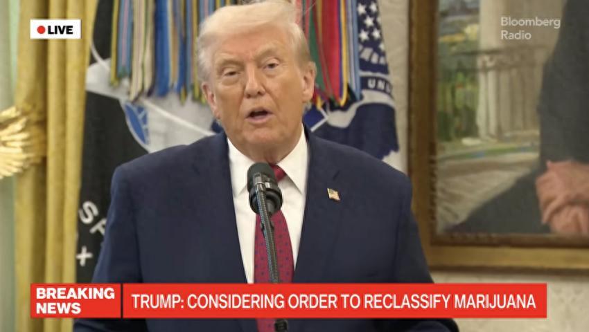 特朗普一边将芬太尼列为“大规模杀伤性武器”，一边“考虑”将大麻列为“危害性较低毒