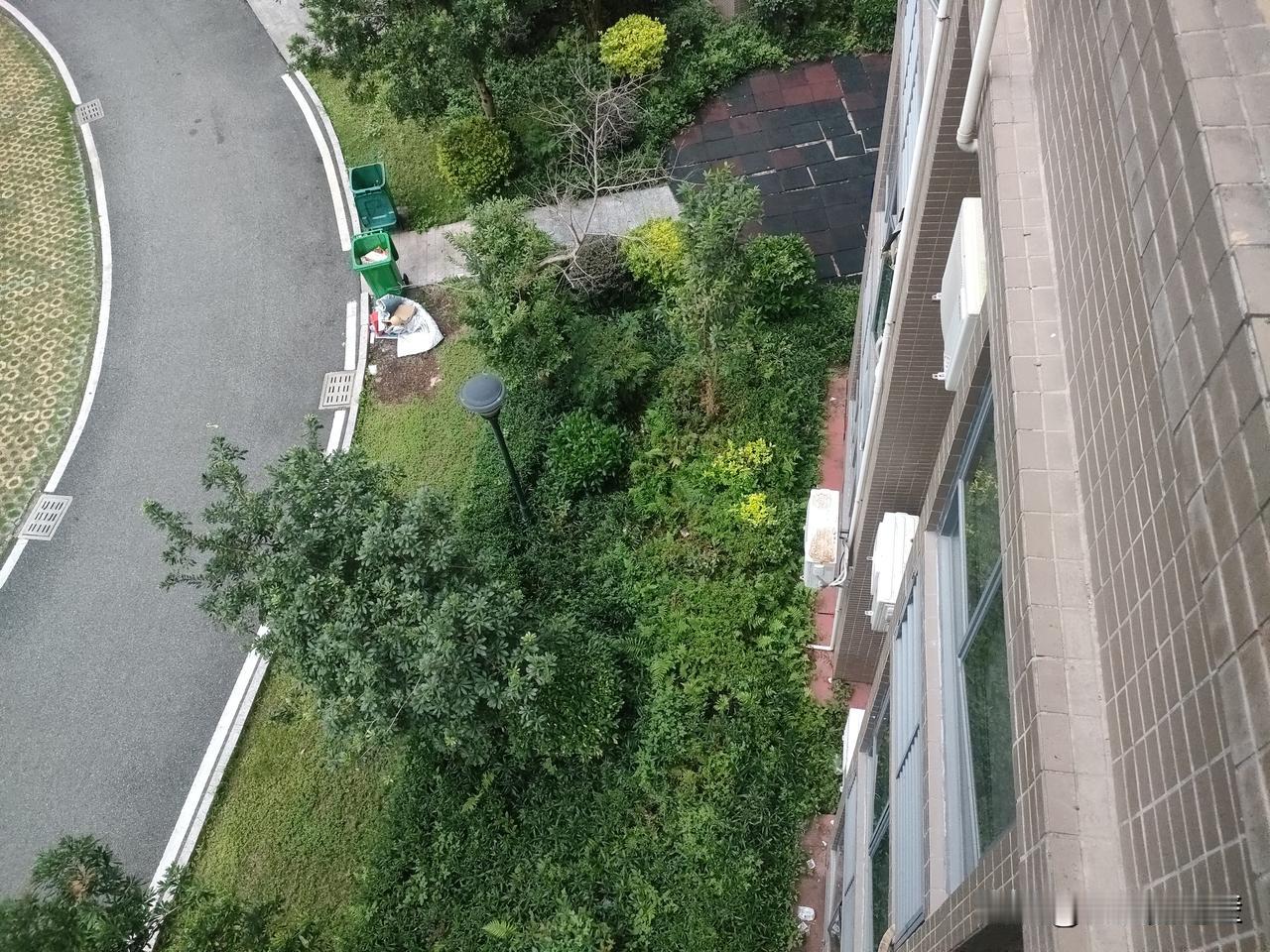 我趴在阳台栏杆上往下瞅，这视角跟开了上帝视角似的。楼下那条弯弯路跟条灰蛇似的蜷着