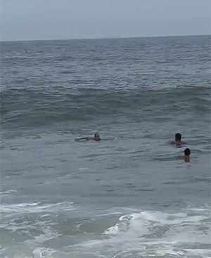 对“浪里白条”没个概念的看看这个