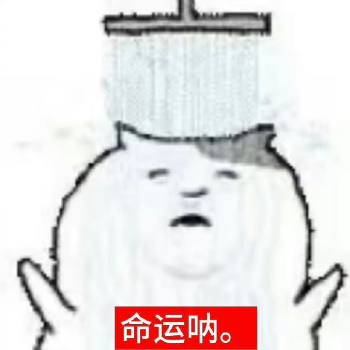 网络真的把我毁了 几年前我还能写出来八百字作文 现在看到两行字就想复制情感热点创