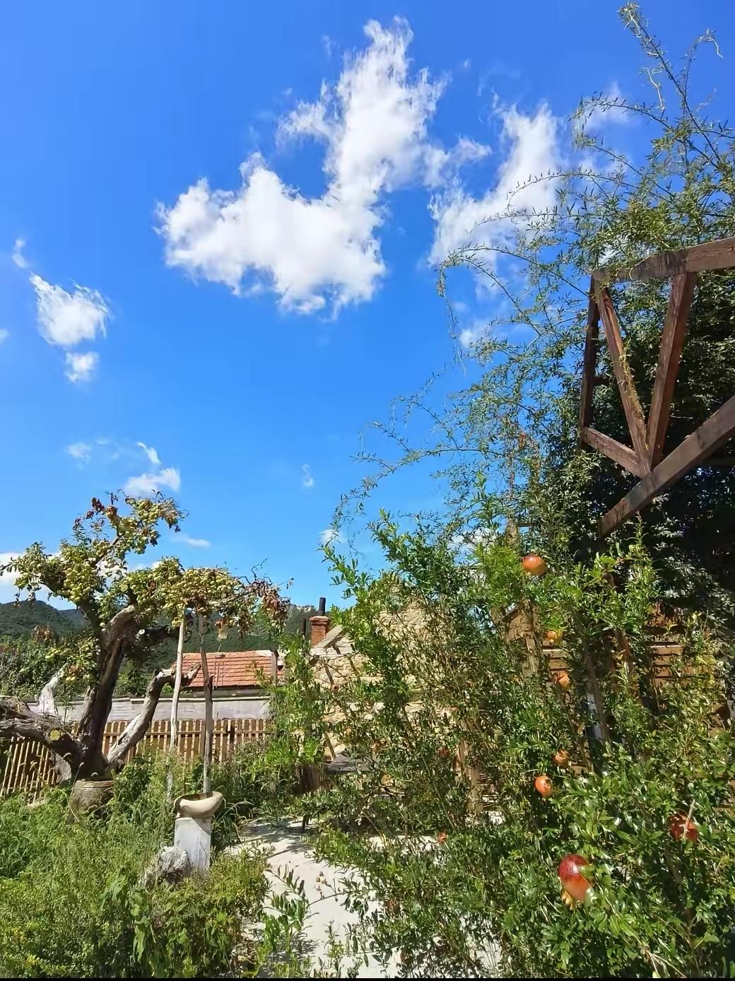 昨天父亲被大伯一家欺负，伤很重。第二天我从外地赶回来，问大伯咋处理，大伯出口成章