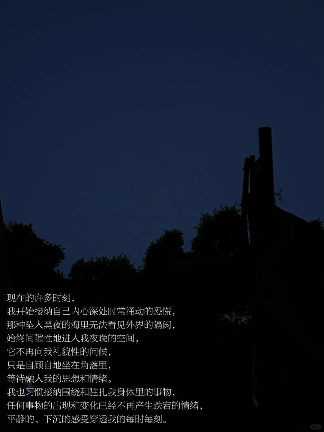 我爱你，我的身体和思想，我身体里的一切。