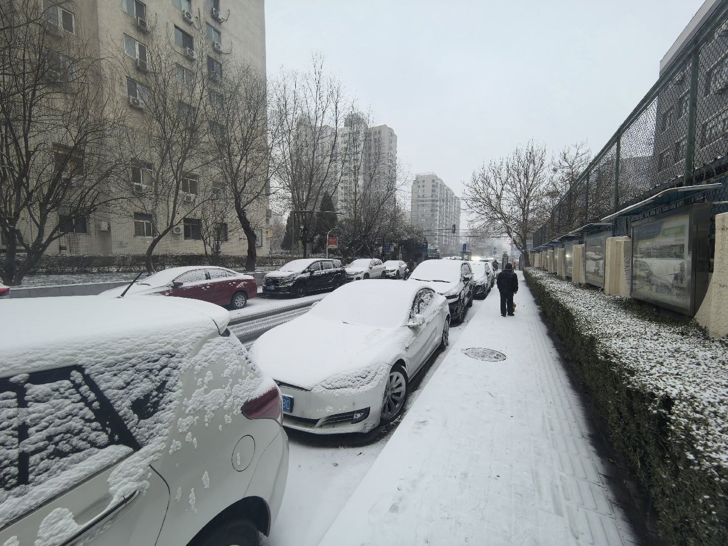 来看北京的雪景~亮亮。