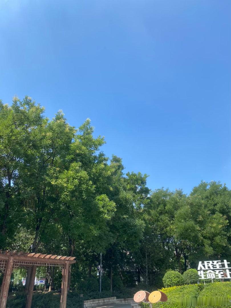 顺手拍了几张图片，今天的天气真的挺好，蓝蓝的天空飘几朵白云，下面第四第五张图，这