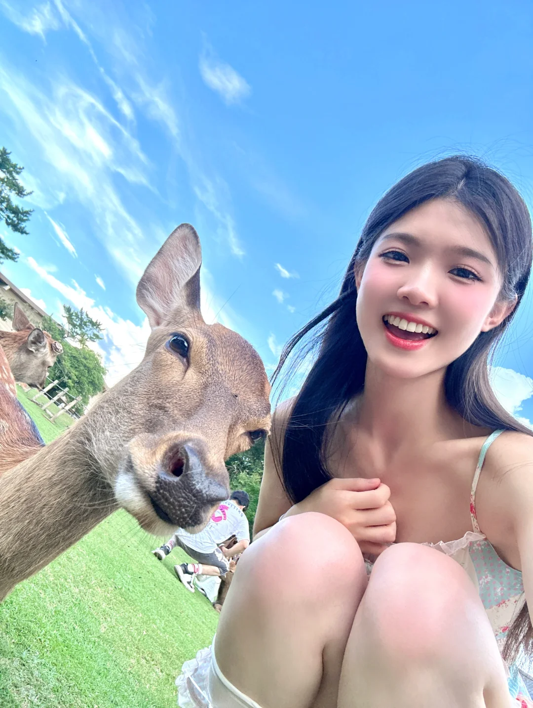 🌿一起去奈良看小鹿吧