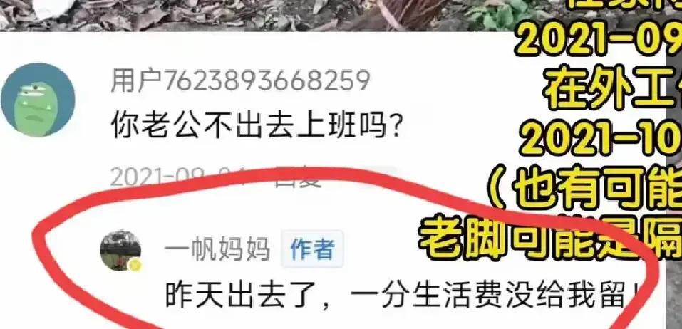 脚气换新衣新鞋，苦瓜还是那件旧外套，一条B站二创把俩人剪成对照组。
视频看完，有