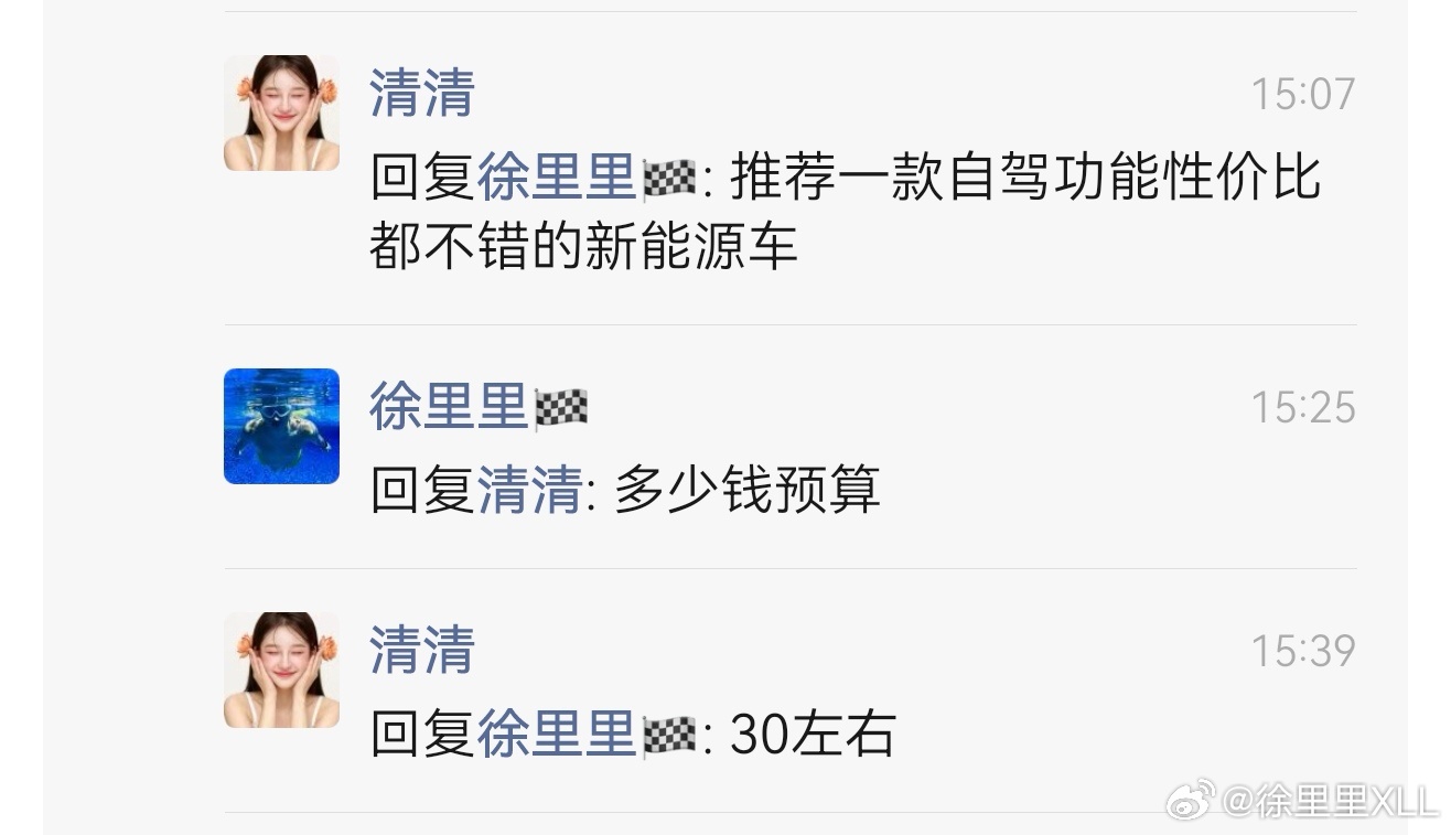 一位女性朋友，让推荐一款车。30万预算，新能源。有自驾游的需求。你们有什么想法？