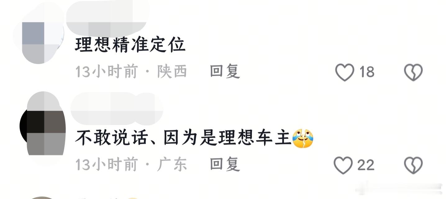 最近理想车主在网上被黑出翔了，拎出个别素质低的就上升到群体，搞出个什么“理想车主
