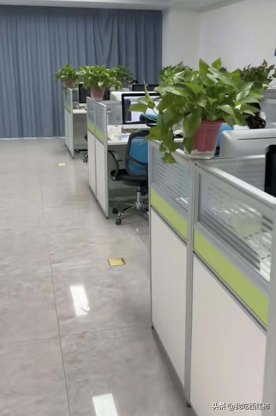 同事刚离职没几天，突然想起还有7天年假没休，立马回公司找HR要补偿。
.
同事觉