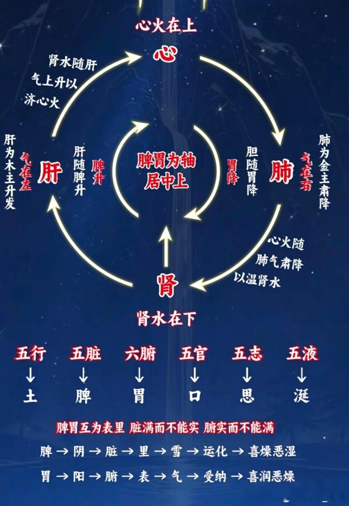 水气互换肾水温暖水之上升而化气，肺金收敛气之下降而化水，水气互换，气水交替，生生