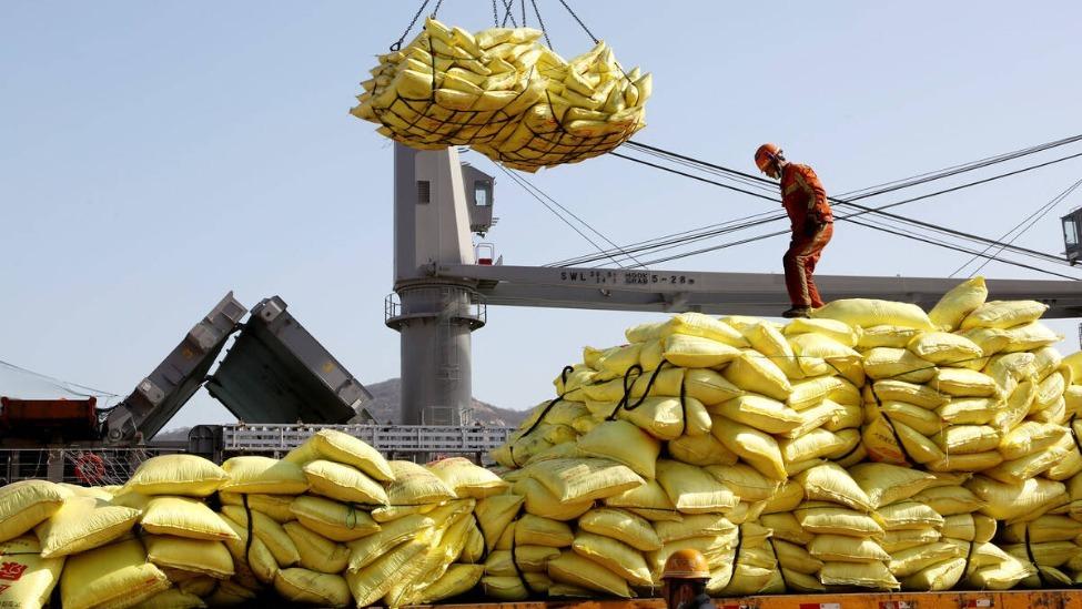 卡塔尔一纸停产令，日本尿素渠道如何被拦腰斩断！3月3日晚间，卡塔尔能源一纸公告发