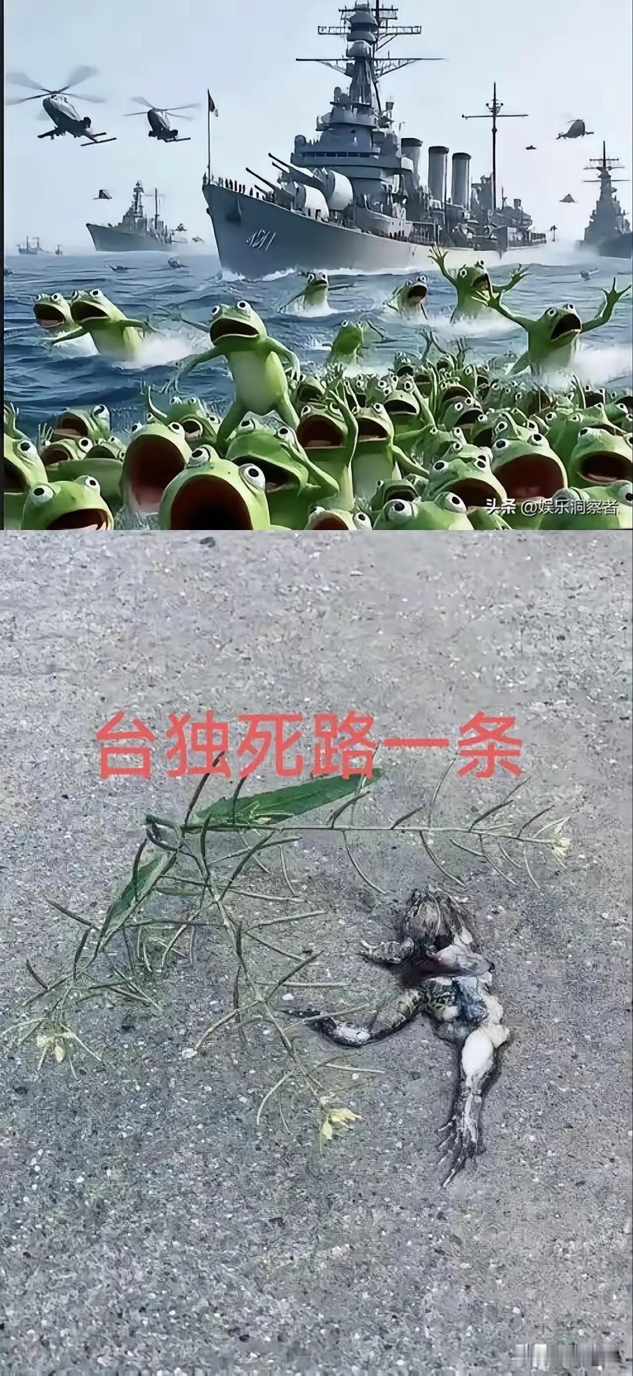 台毒大结局 