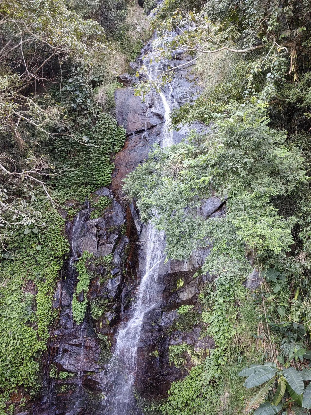 出门两天，
今天在家全程不想动，
只想躺着[捂脸][捂脸][捂脸]
我是怕应酬的