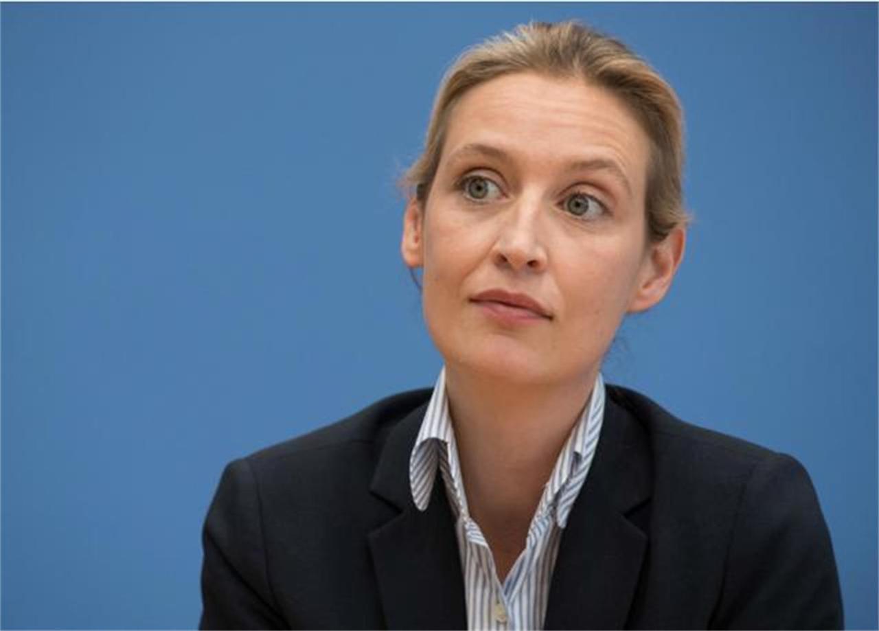 荒谬的对立？魏德尔评美强要格陵兰岛，北约司令是美国人，如何带领北约盟军对抗美军？