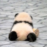 康生热品音乐
