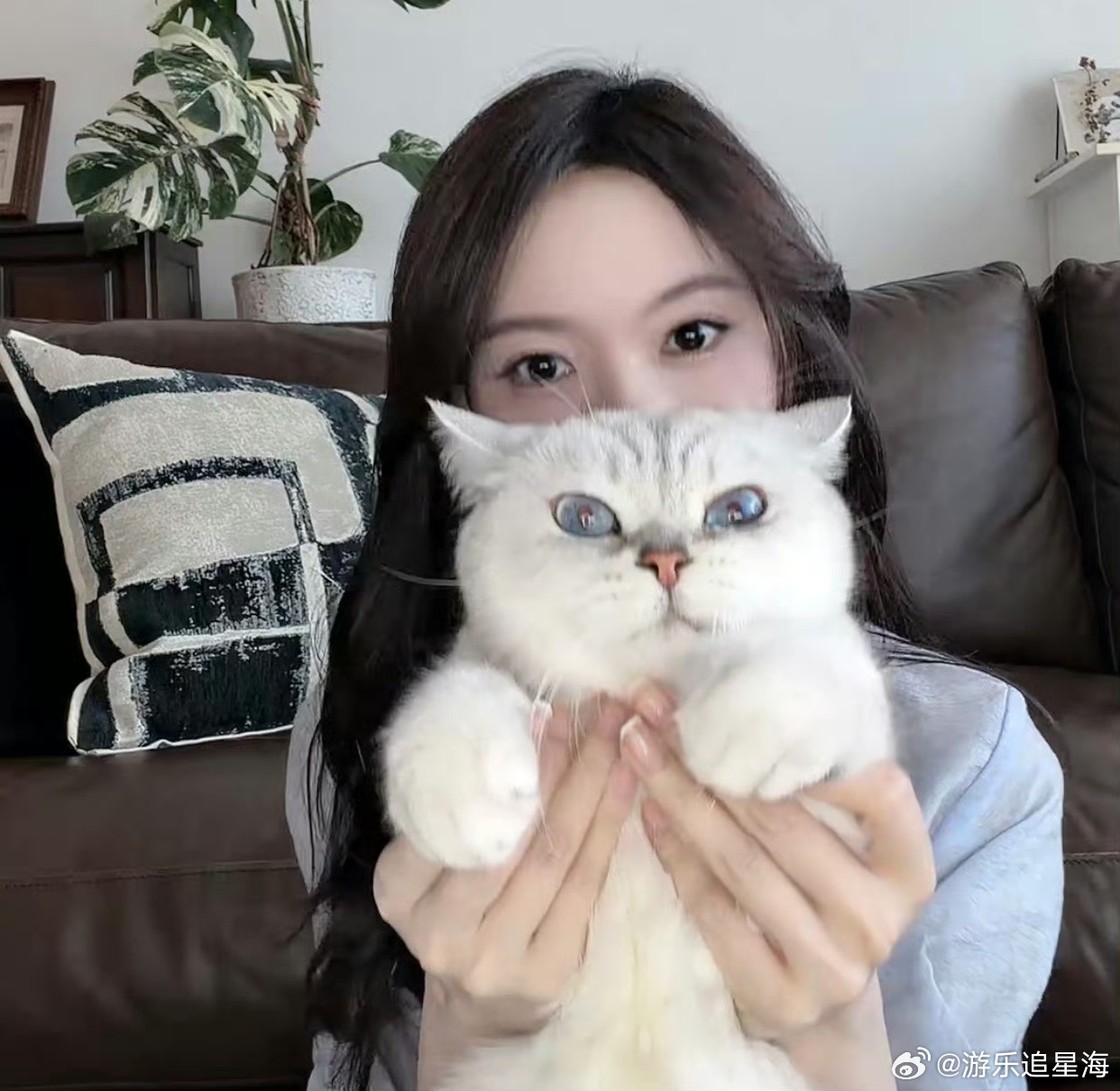 陈瑶出道十一周年直播陈瑶就这样萌萌地秀肌肉 十一周年直播氛围感直接拉满，轻声演唱