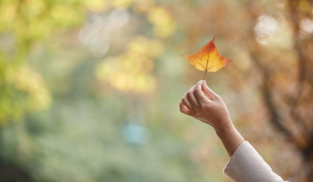 初心，
不是用来回归的，
那是数十年如一日的坚守，
守一不离，
才叫深度！
深度