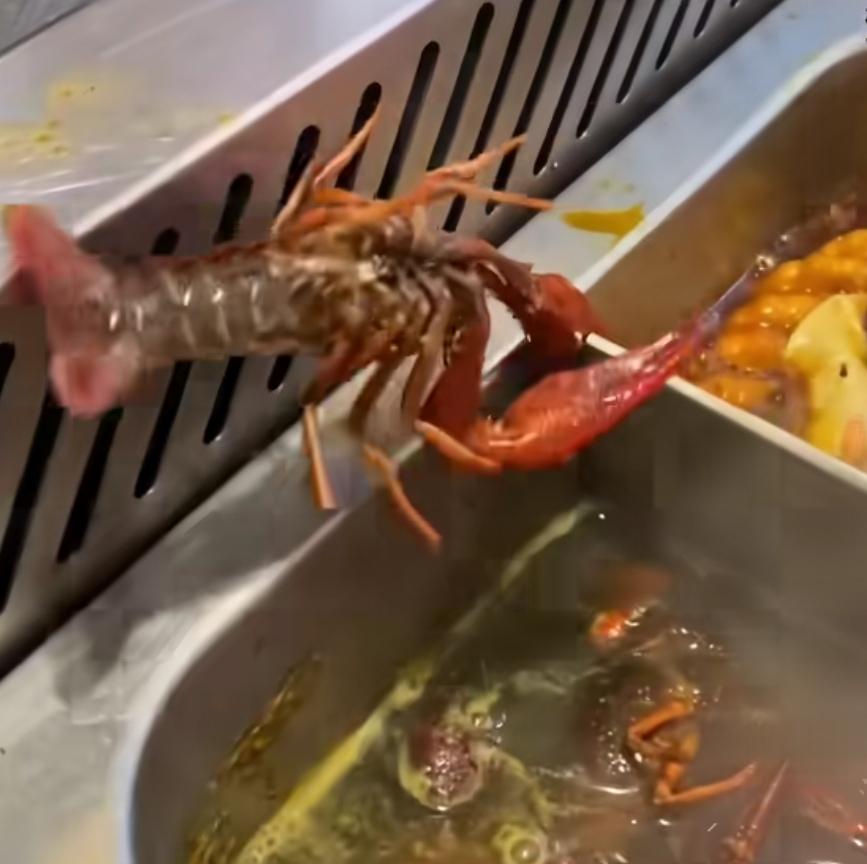英国禁止沸水煮龙虾，就是做之前，也得冷冻或者电击晕了才可以做。
原因就是他们说，