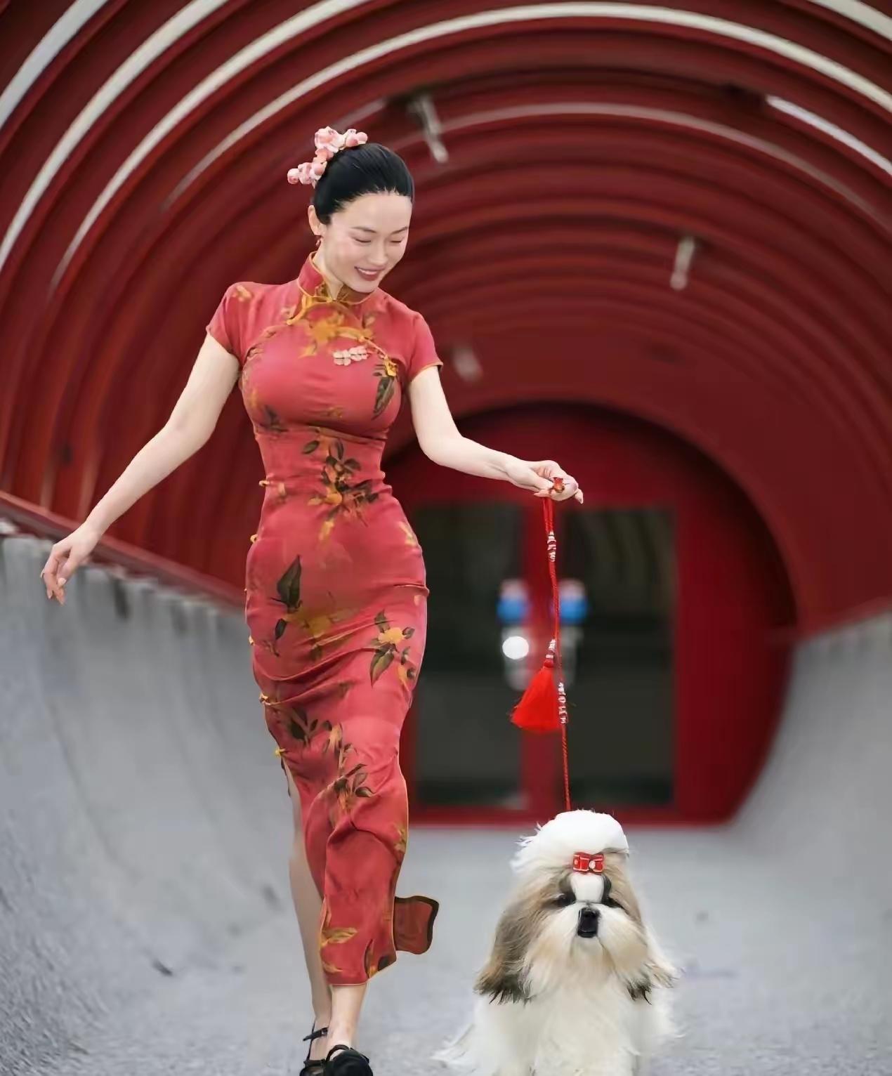 霍思燕夺冠，杜江激动发文庆祝，爱称暴露惹人羡慕杜江这辈子做的最正确的就是娶了霍思