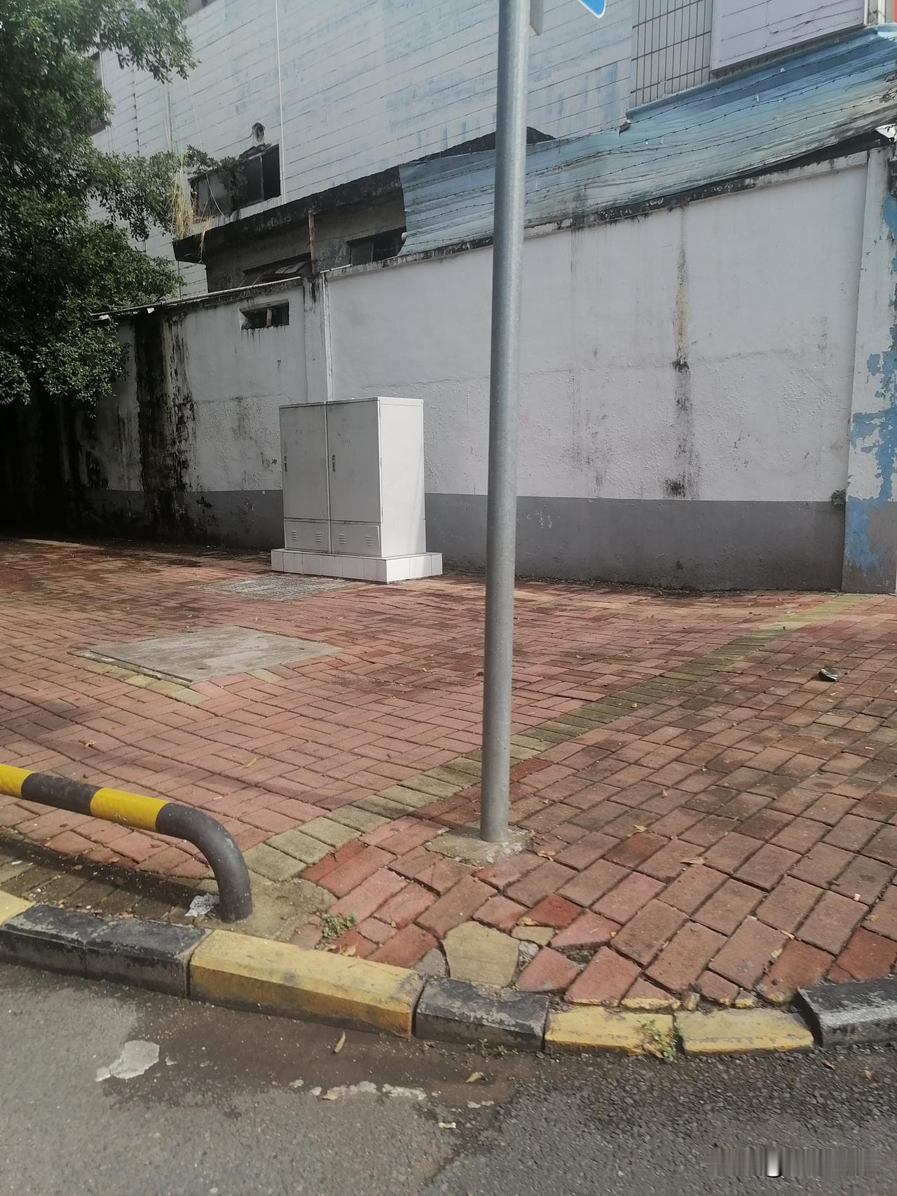 老家村子路修好了，大棚也建起来，可种出来的果子总卖不上价。村里老人只会埋头种地，