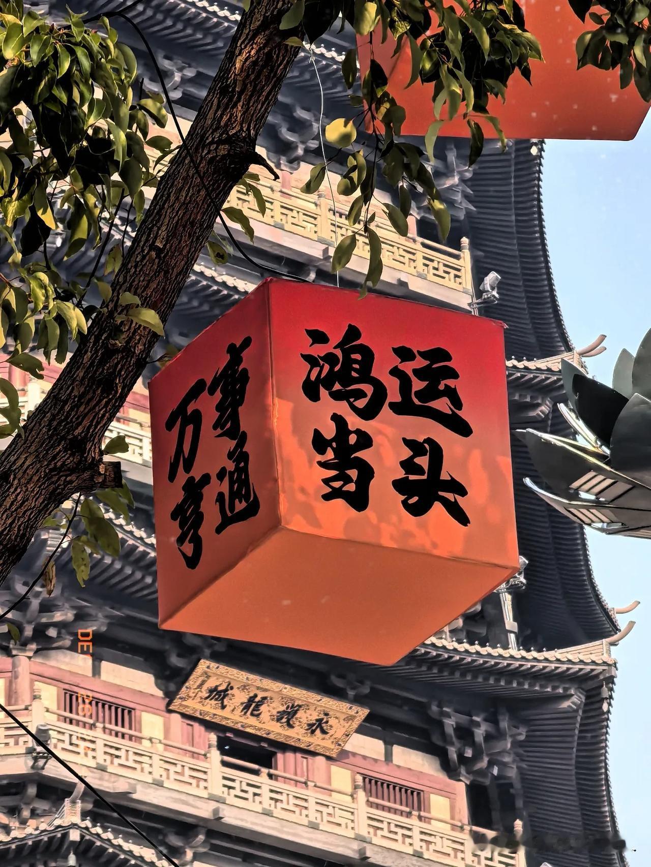 冬日阳光午后，天宁闲暇时光。
今天室外温度还好，午后阳光暖照，
倘佯于东南第一丛