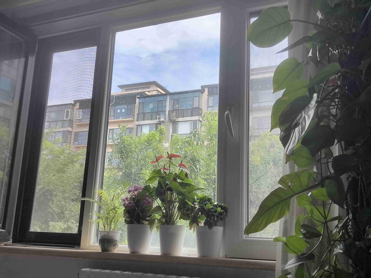 我的今日状态：😁轻松愉快
我这里的天气：☀️晴天