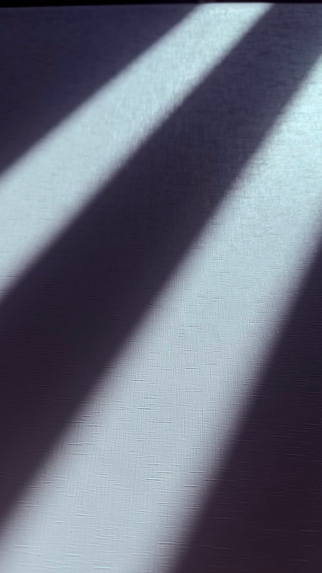 一条plog告别一月 早☀️ 