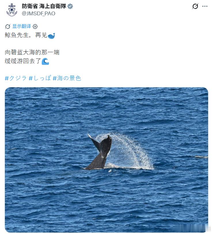 日本的虚伪让人感到极度恶心纪录片《海豚湾》解说完整版：海豚的微笑，是世界上最大的