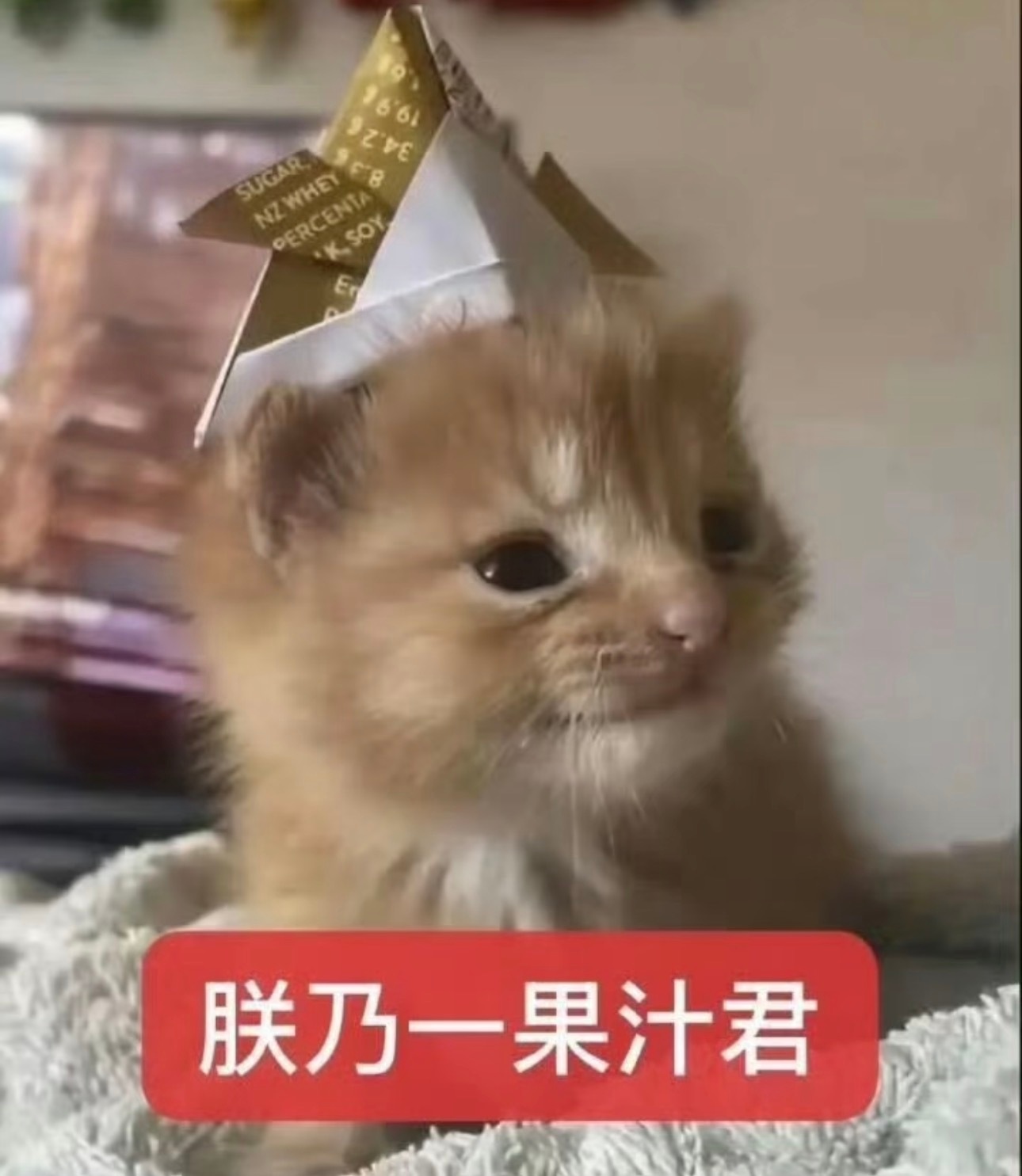 拜见ee大王